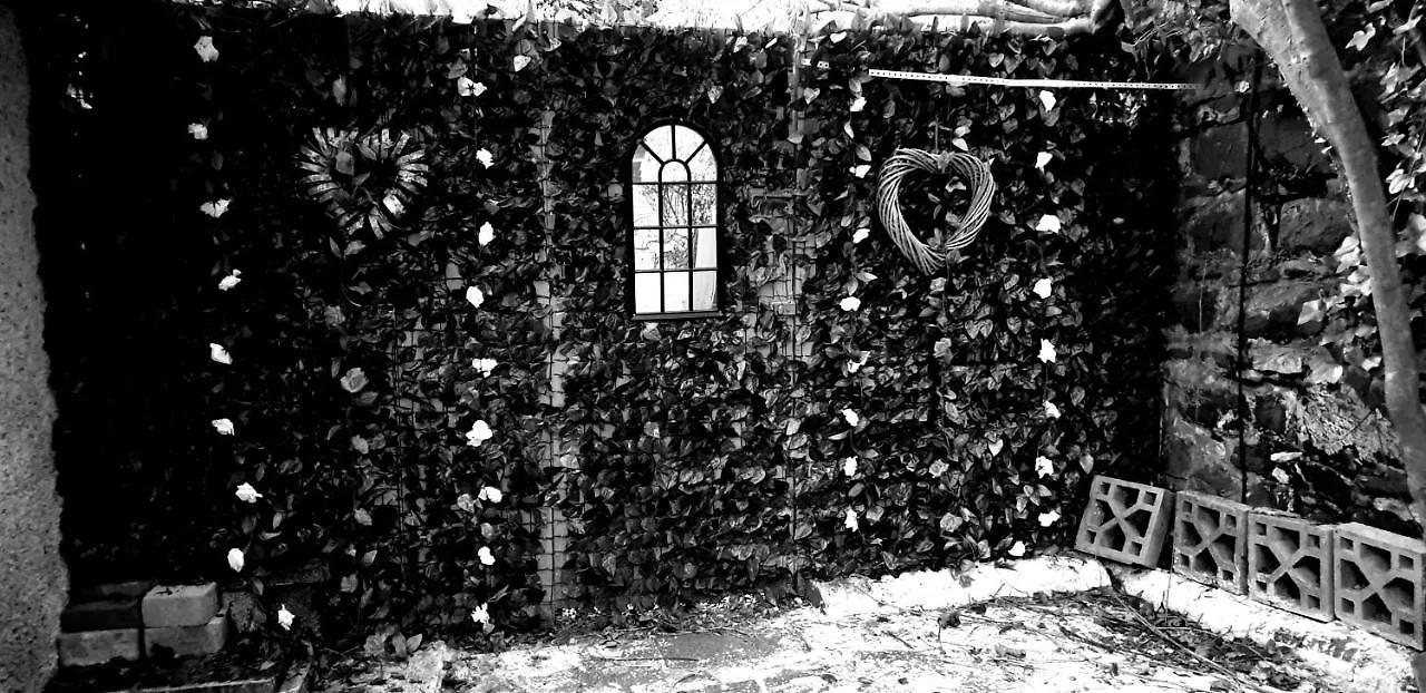 Belfast Cosy Cabin 0*,  Regno Unito
